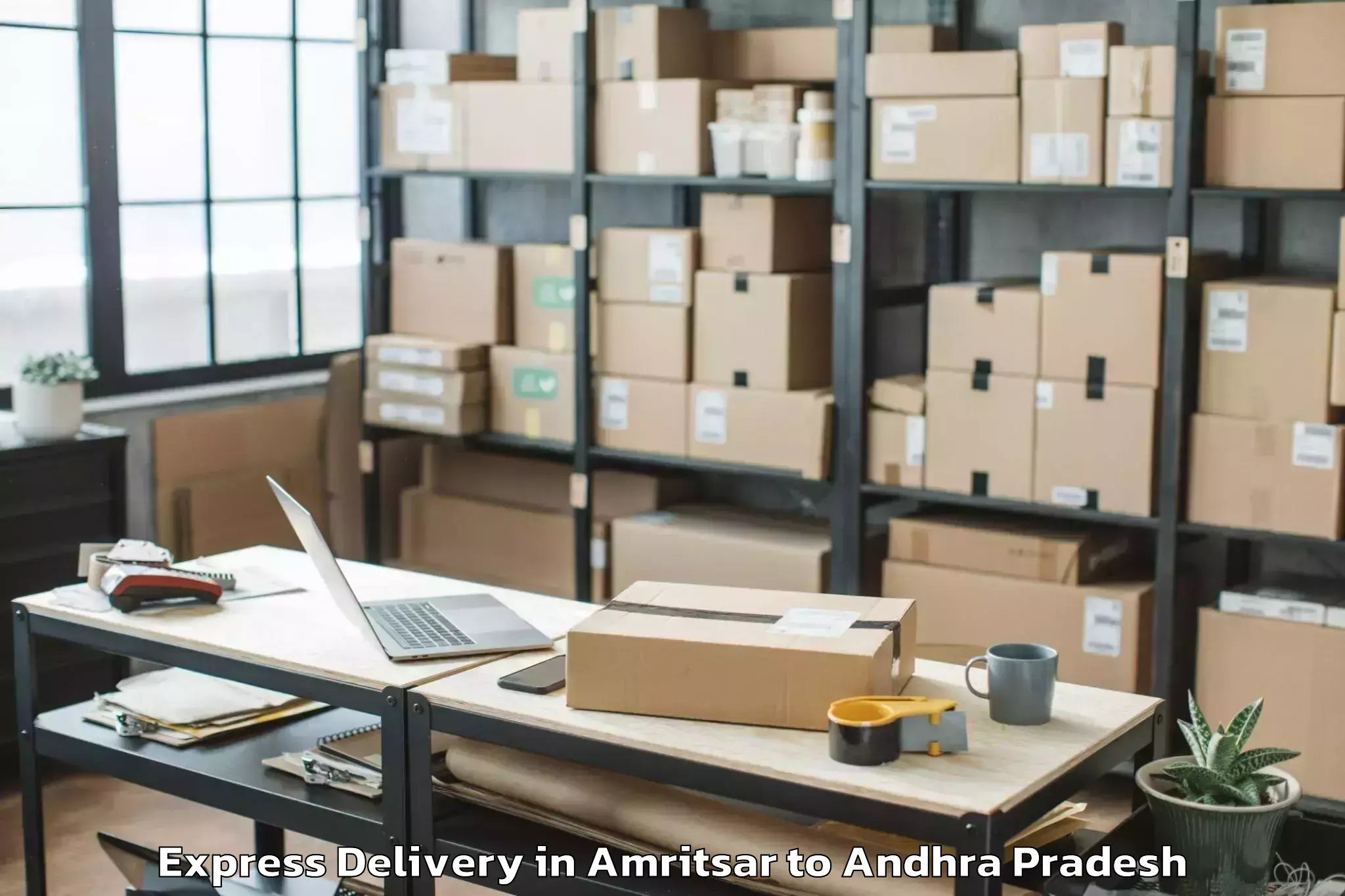 Quality Amritsar to Vemuru Express Delivery